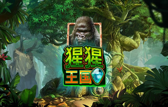 蜂鸟电竞app下载安装